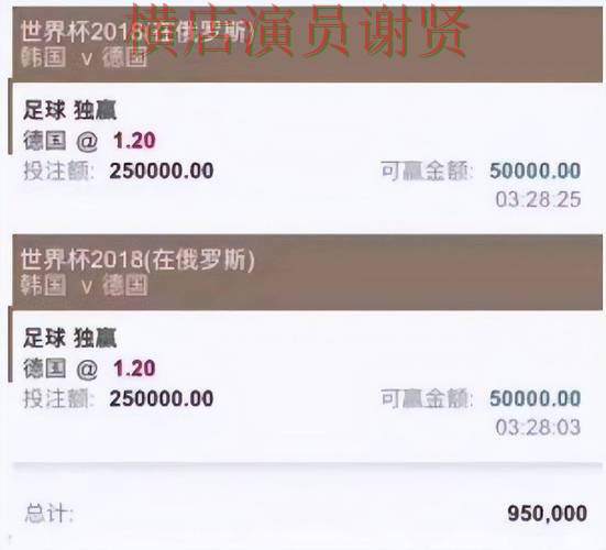 世界杯投注平台推荐合集：覆盖数据分析与入口方式 - 世界杯官方信息